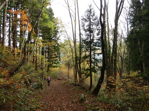 2019_11_02_otari_06.jpg
