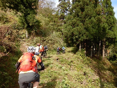 2019_11_02_otari_08.jpg