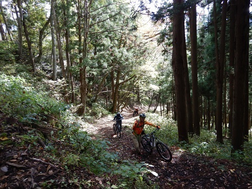 2019_11_02_otari_09.jpg