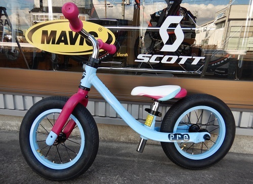 21_giant_pushbike_01.jpg