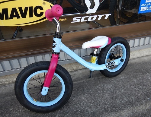 21_giant_pushbike_03.jpg