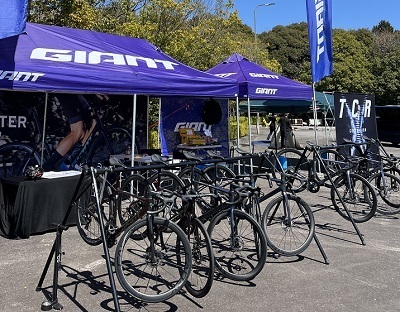 24_giant_TCRtestride_02.jpg