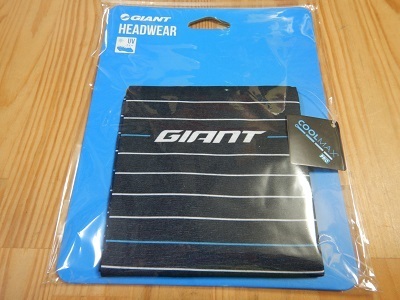 giant_headwear.jpg