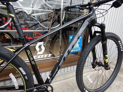 scale950_2.jpg