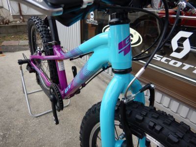 25_GT_StomperAce20_02.JPG